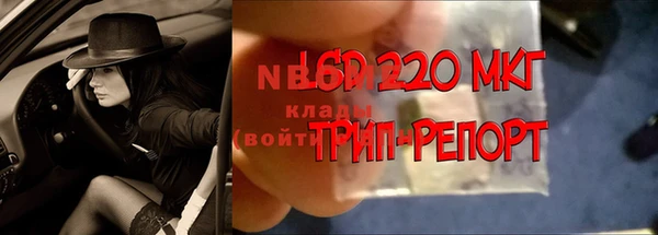 прущие крисы Балахна