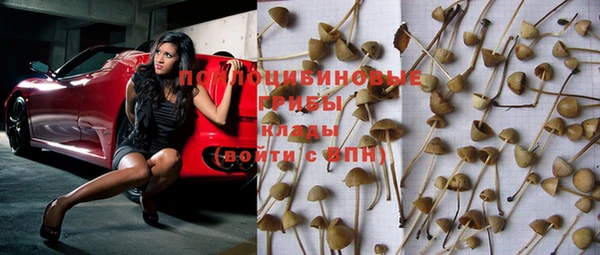 прущие крисы Балахна