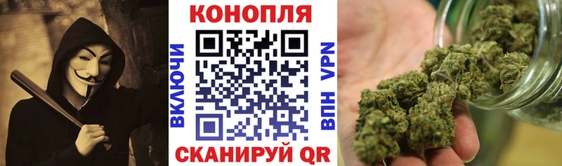 где купить   Котово  Канабис индика 